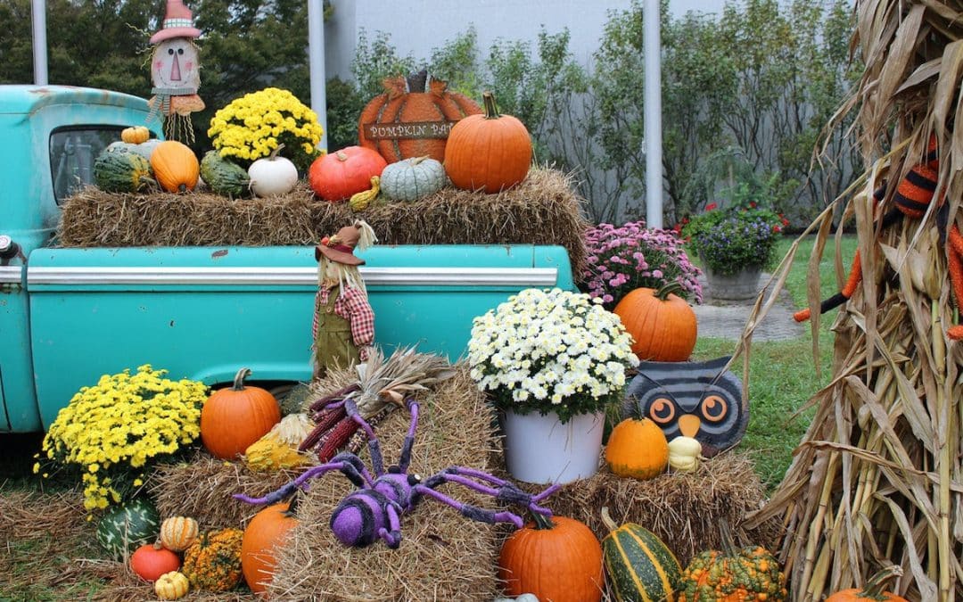 Yard of the Month