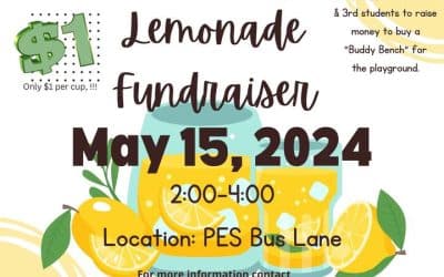 LEMONADE SALE – MAY 15