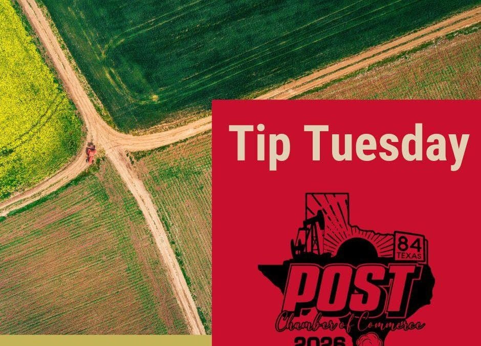 Tip Tuesday 7/14/26
