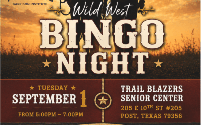 Wild West Bingo Night